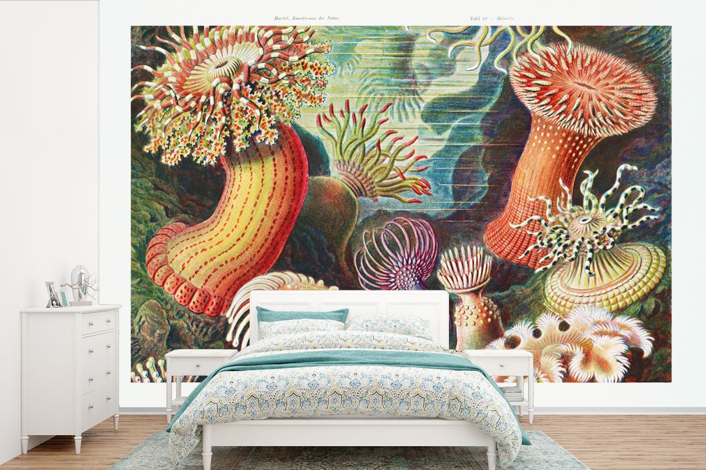 MuchoWow Fototapete für Wohnzimmer oder Schlafzimmer Wandtapete Vinyl Motivtapete Ernst Haeckel - Anemone - Retro - Natur - Pflanzen - Meer - 39...