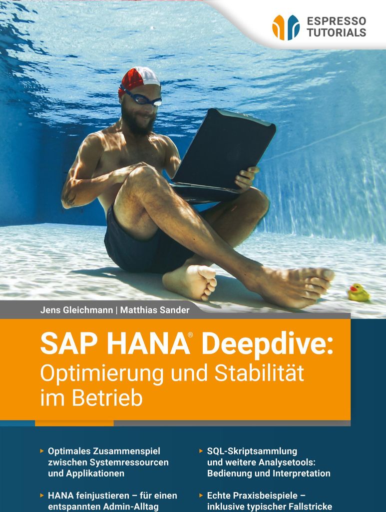 SAP HANA Deepdive: Optimierung und Stabilität im Betrieb