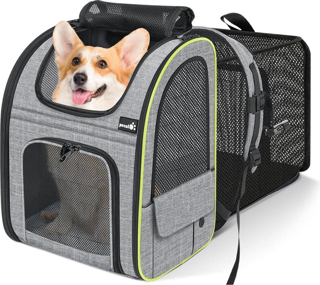 Pecute Hunderucksack Erweiterbar Grau XL Produktbild 
