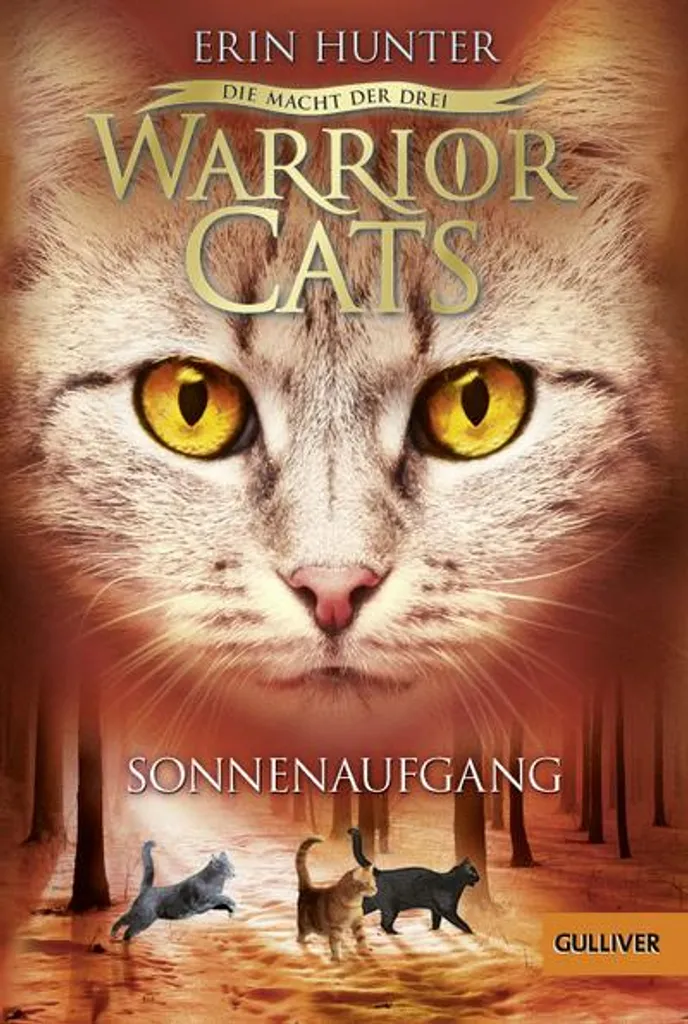 La Guerre des Clans Cycle 3 Tome 6 Soleil Levant roman pour fans