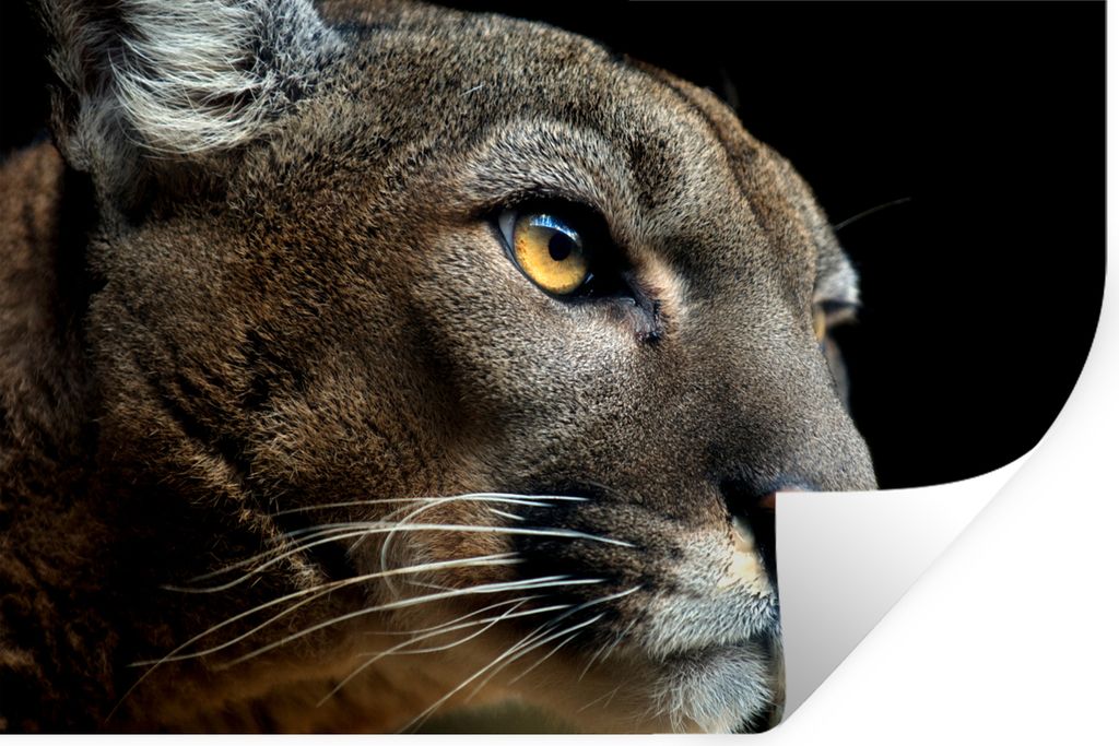 MuchoWow - Wierderverwendbar - Selbstklebend