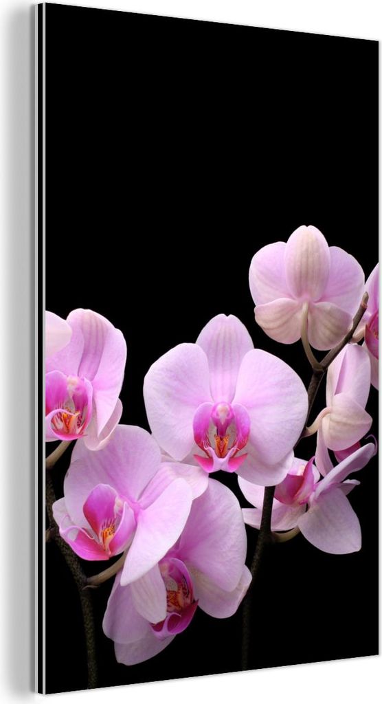 MuchoWow Wanddekoration Metall Metallbild Wandkunst 20x30 cm Orchidee - Blumen - Rosa - Flora MuchoWow Aluminium Gemälde - Alu Dibond Bild
