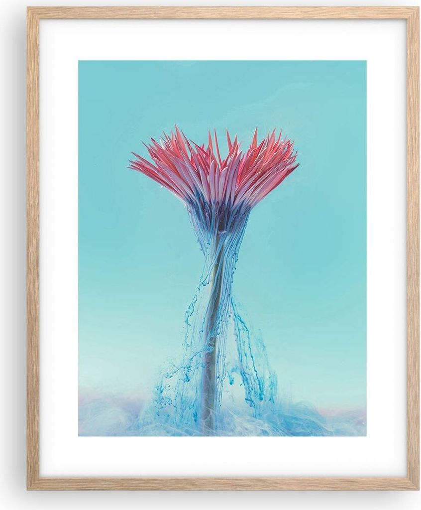 Gerahmtes Poster - Rahmen in heller Eiche - Rosa Gänseblümchen Tinte - 40x50 cm - Wand Bild - Wanddeko - Wandbilder - Kunstposter - Wandposter - ...