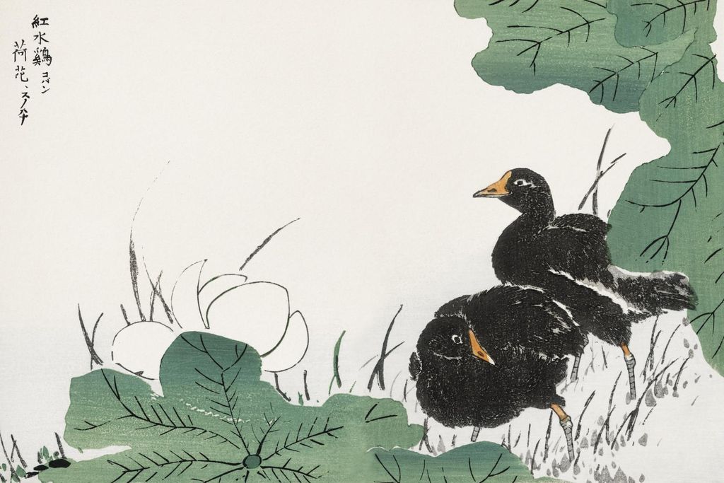 Plakat 45x30cm Coot und Lotus, Japanischer Vintage für das Wohnzimmer