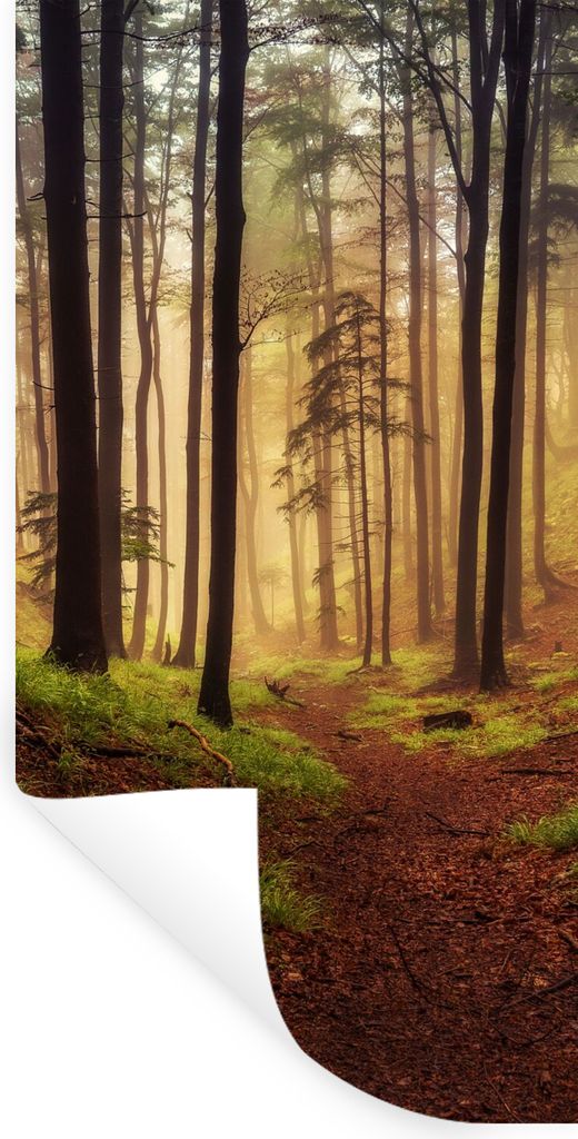 MuchoWow Wandtattoo Wandsticker Wandaufkleber Bäume - Natur - Wald 20x40 cm Selbstklebend und Repositionierbar - Selbstklebend - Fototapeten