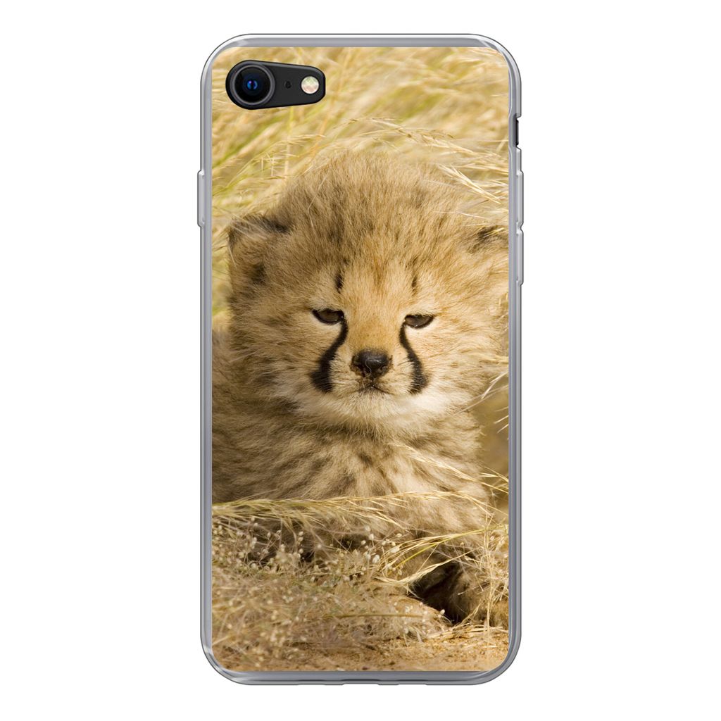 MuchoWow Handyhülle Schutzhülle Hülle für iPhone SE 2020 Gepard - Jung - Gras Silikon Softcase Handy Hülle - Kartenbesitzer