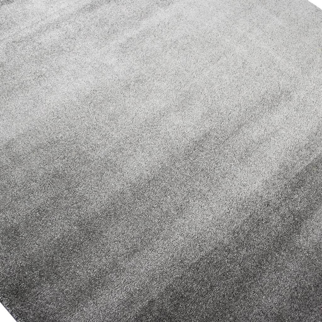 Grand Tapis de Salon Anthracite 200x290 cm Facile à Nettoyer et Durable