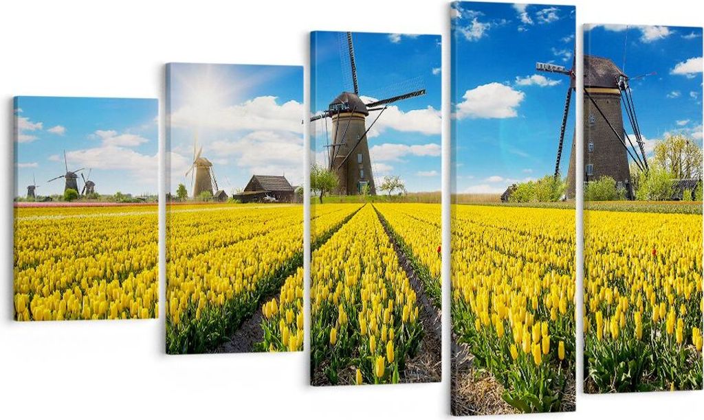 Bild auf Leinwand - Leinwandbild - Tulpen Windmühle Wiese Landschaft - 100x60cm - Wand Bild - Wanddeko - Leinwanddruck - Bilder - Kunstdruck - Lei...