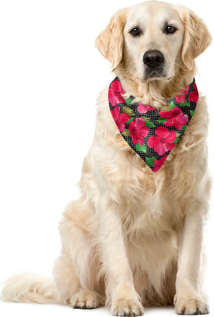 Bandana Resistente Cani ABAKUHAUS Hawaii 55x55 cm Ibisco e Pois