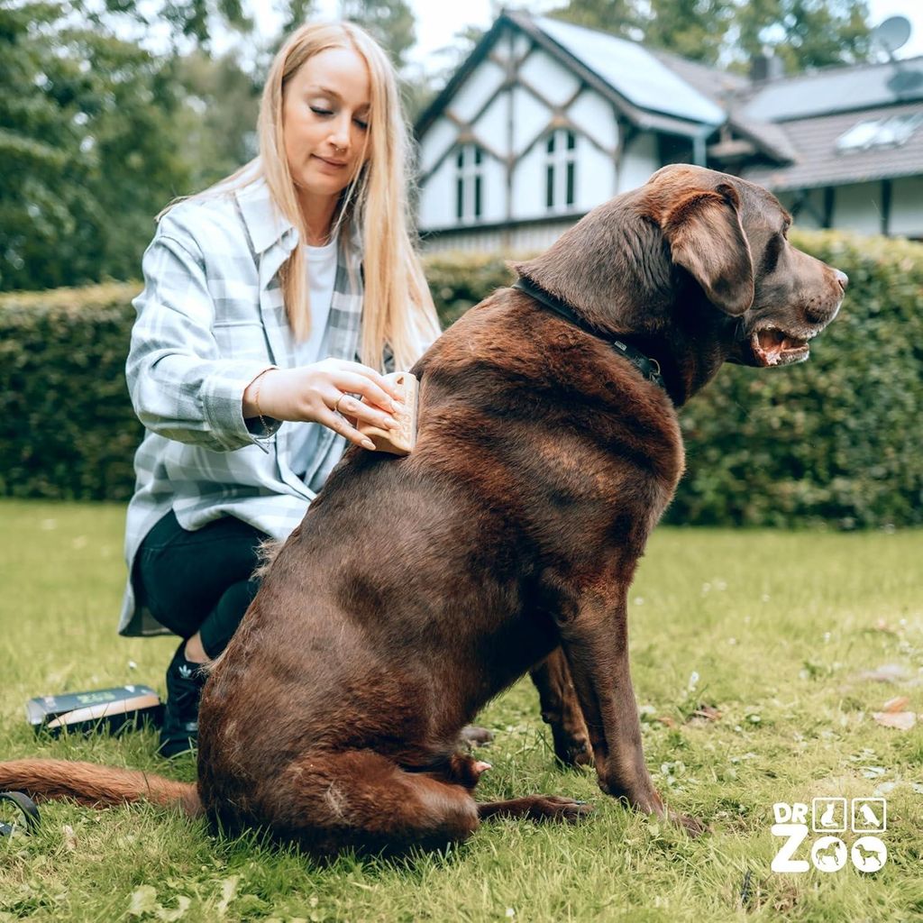 Hundenborstel für kurzes Haar - Hochwertige Fellpflege für kleine und große Hunde