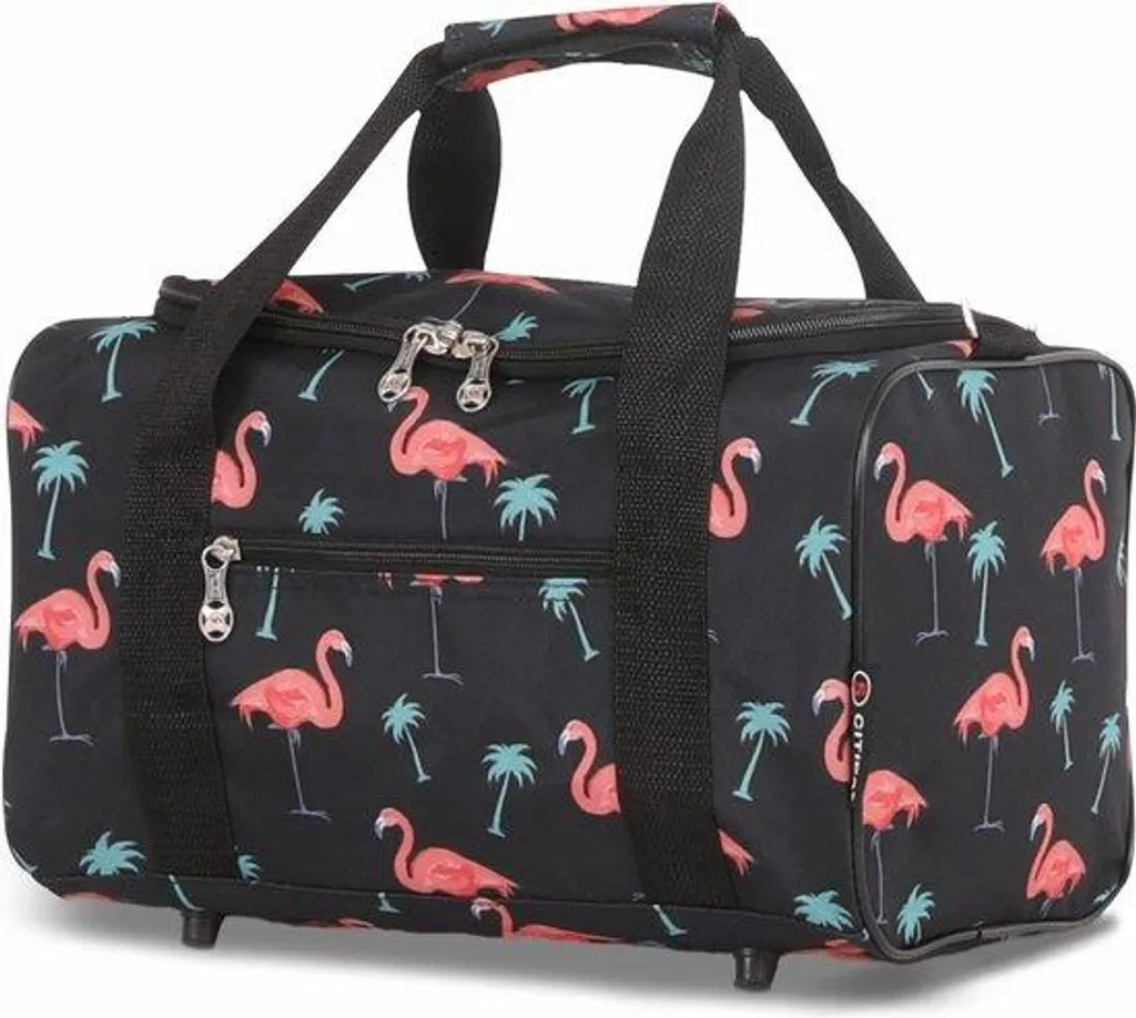 Sac de transport pour petit chien et chat format cabine transparent