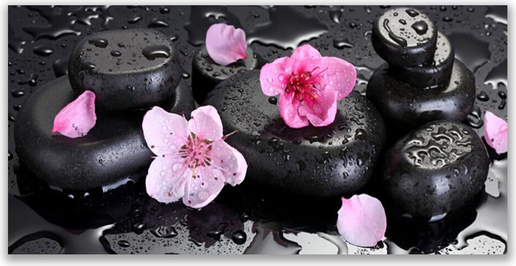 Tulup Leinwand-Bilder 120x60 Wandbild Canvas Kunstdruck Blumen Steine Kunst