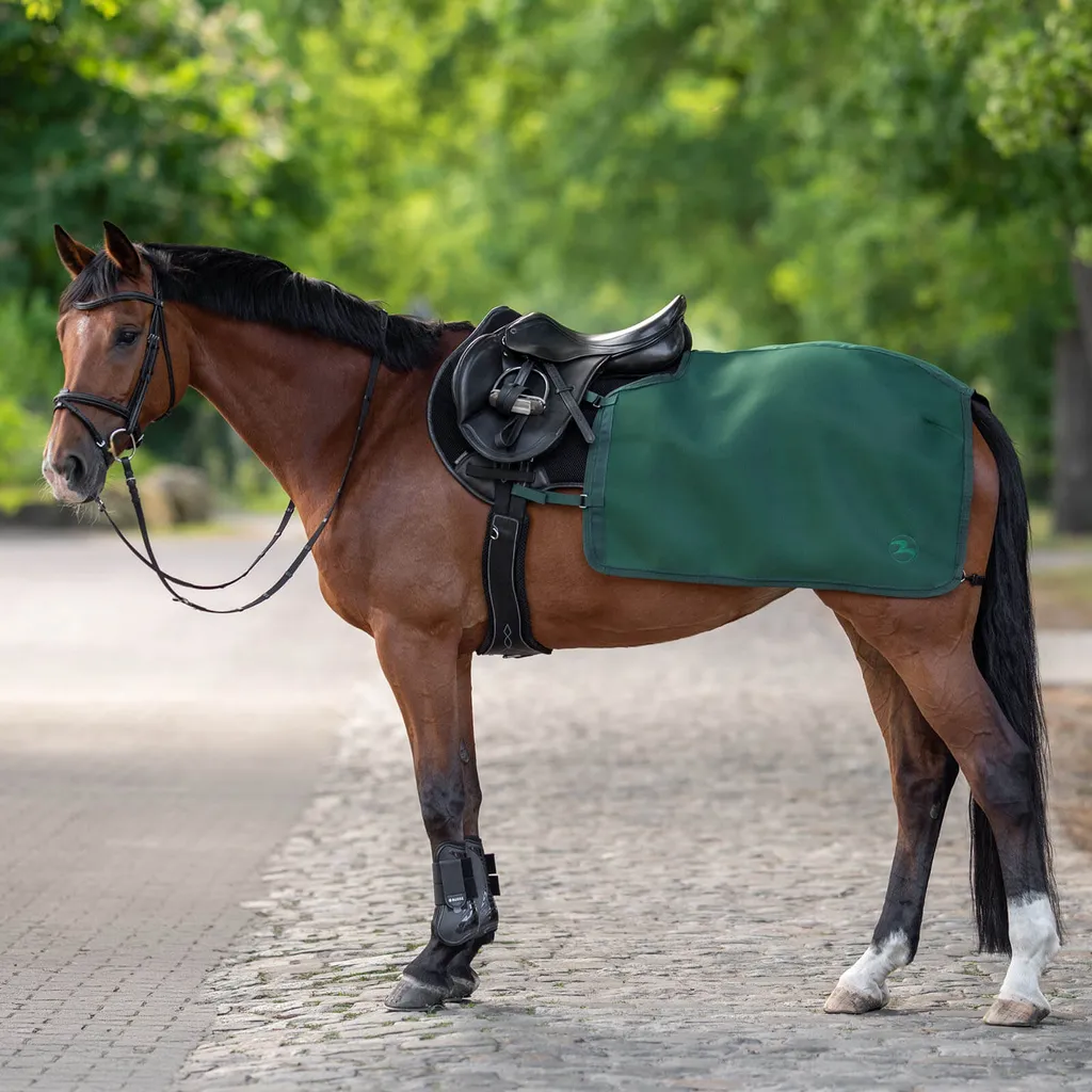 Couverture d'entraînement BUSSE 3D Air Pro Emerald 125 pour chevaux