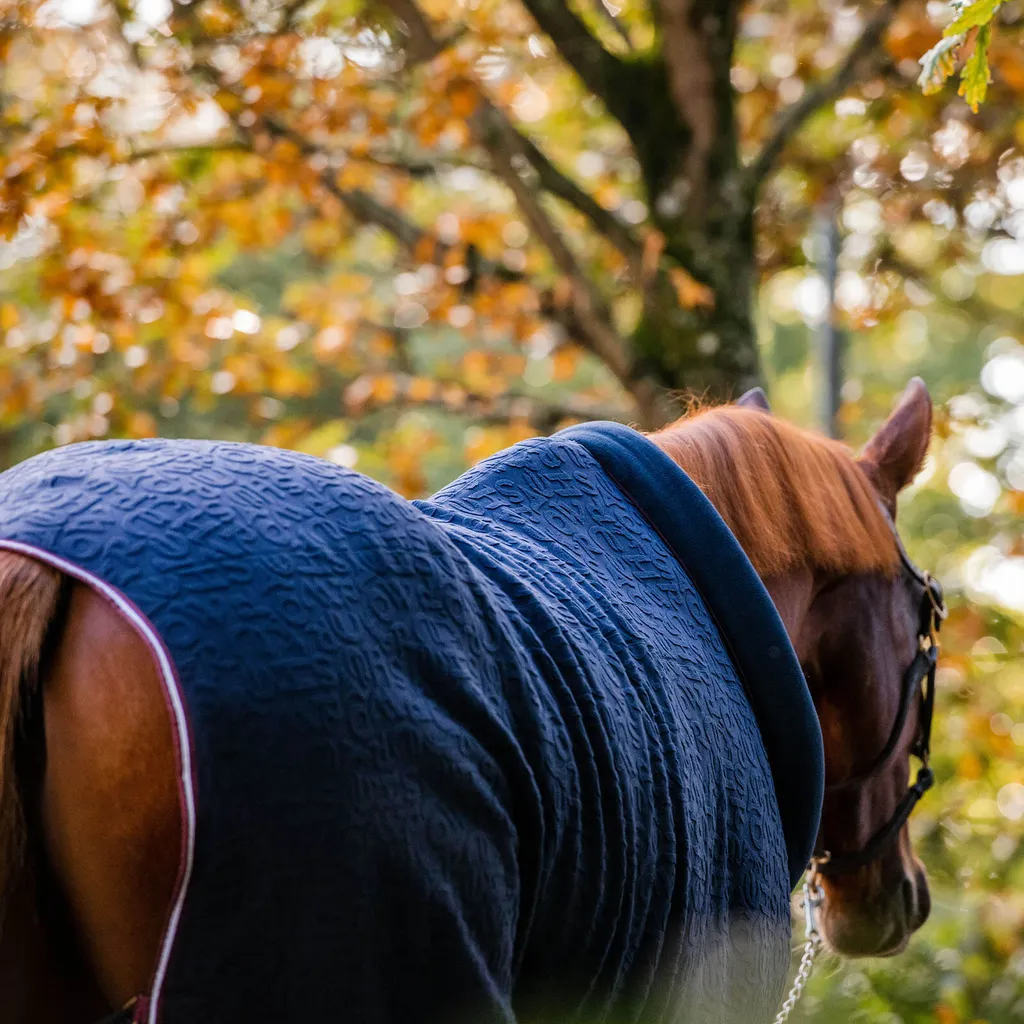 Pferdezubehör: Ekzemer-Decke Horseware Ireland Rambo Petite Hoody