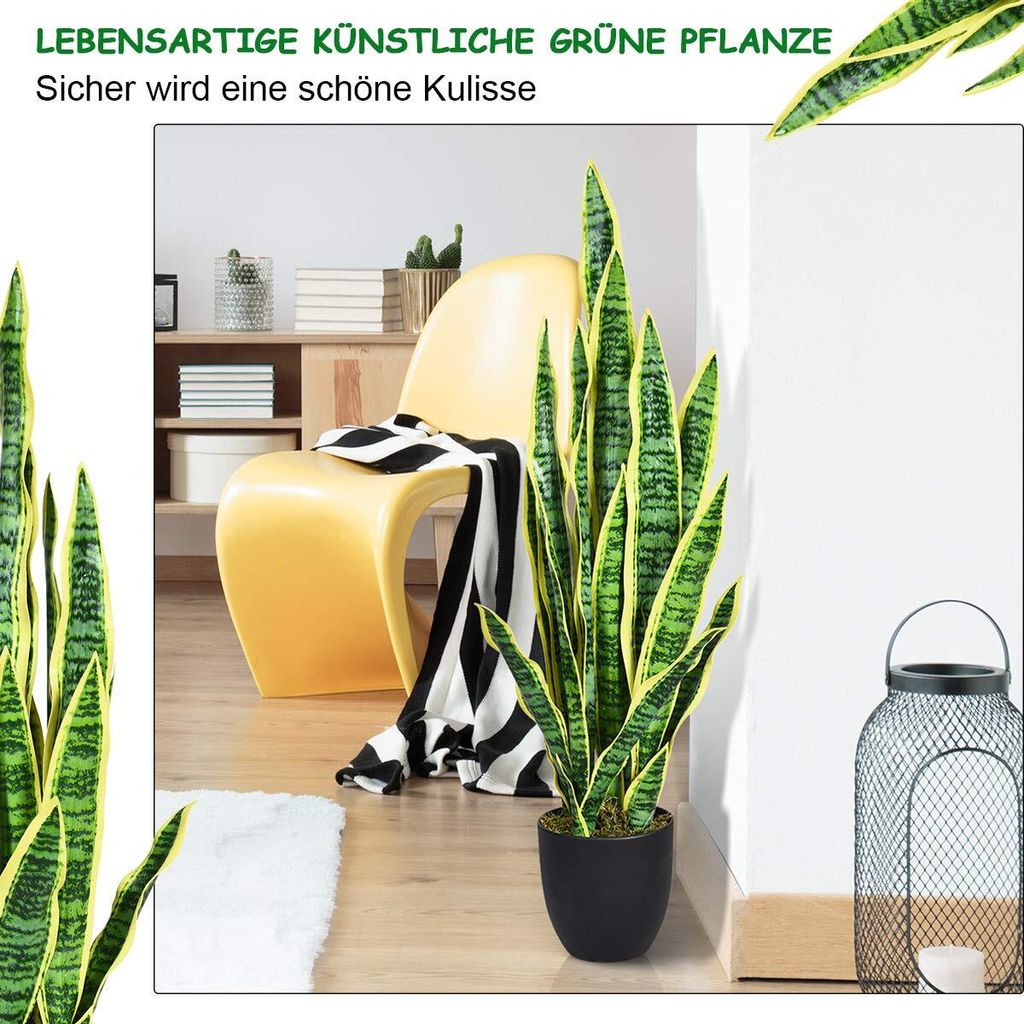 monstera deliciosa cuidado Monstera Deliciosa | Planta de interior | Comprar · Envío Chile main image 0