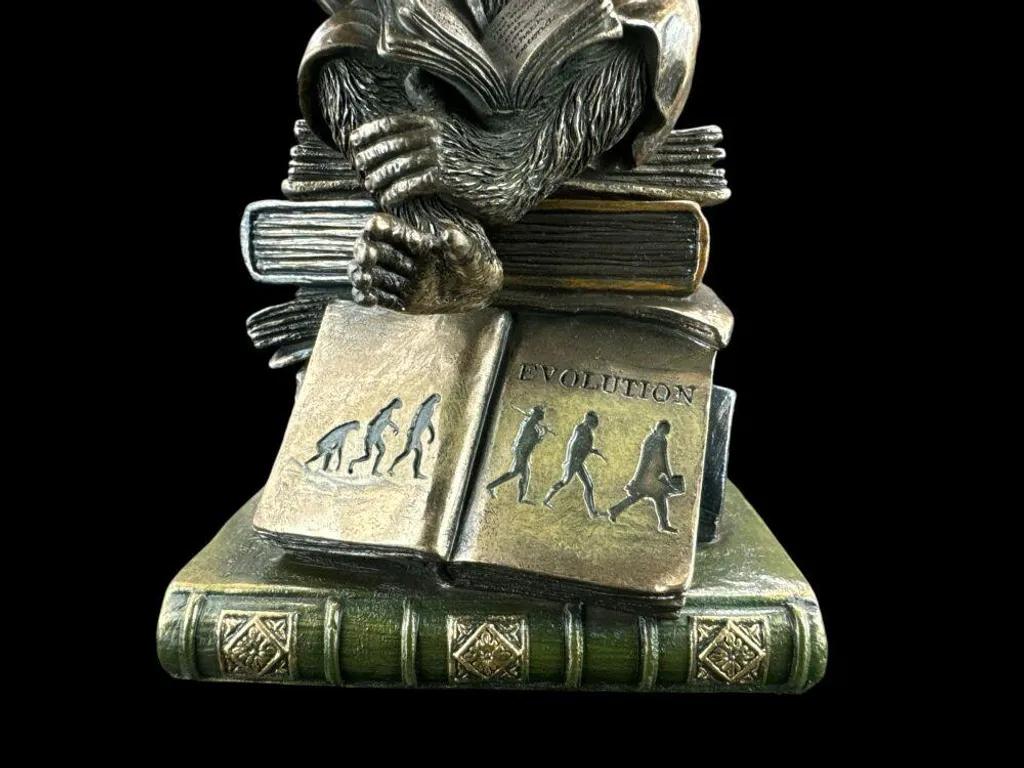 Coffret Évolution du chimpanzé WU76129A4 - Figurine de collection Veronese - 10