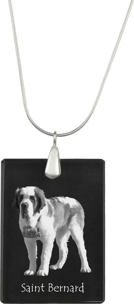Ciondolo Cane San Bernardo con Foto: Gioielli Art-Dog Argento