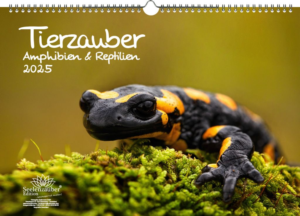 Tierzauber Amphibien und Reptilien DIN A3 Kalender für 2025 - Seelenzauber