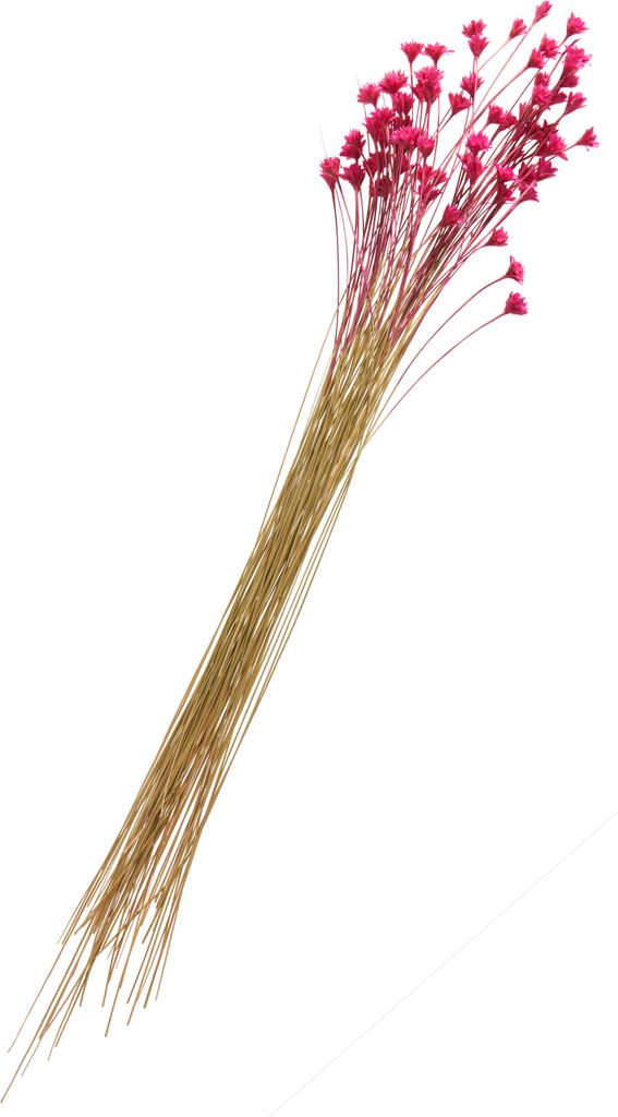 Hillflower, ca. 25 g, L ca. 50 cm Pink