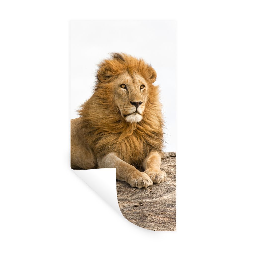 MuchoWow Wandtattoo Wandsticker Wandaufkleber Löwe - Mähne - Tier 20x40 cm Selbstklebend und Repositionierbar - Selbstklebend - Fototapeten