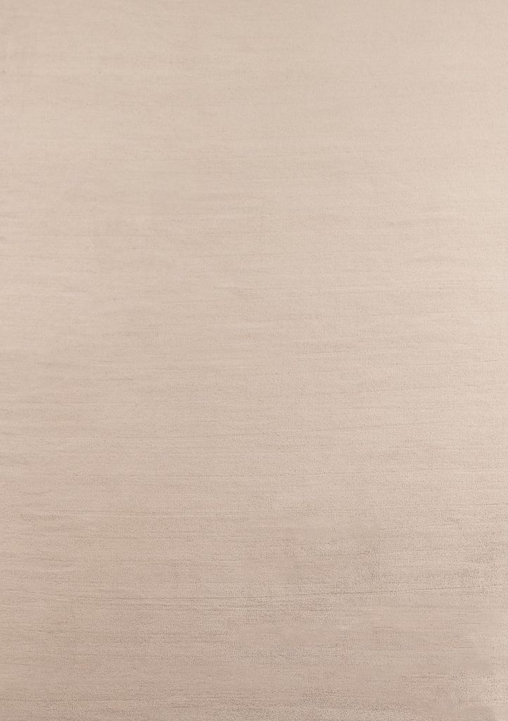 A plain, textured background.