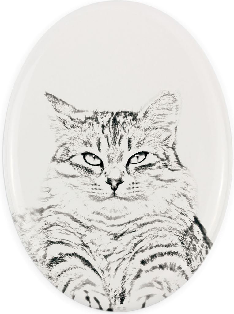 Sibirische Katze - Gedenktafel mit einem Foto einer Katze, Grabplatte mit Druck, personalisierte ovale Platte der Marke Art-Dog