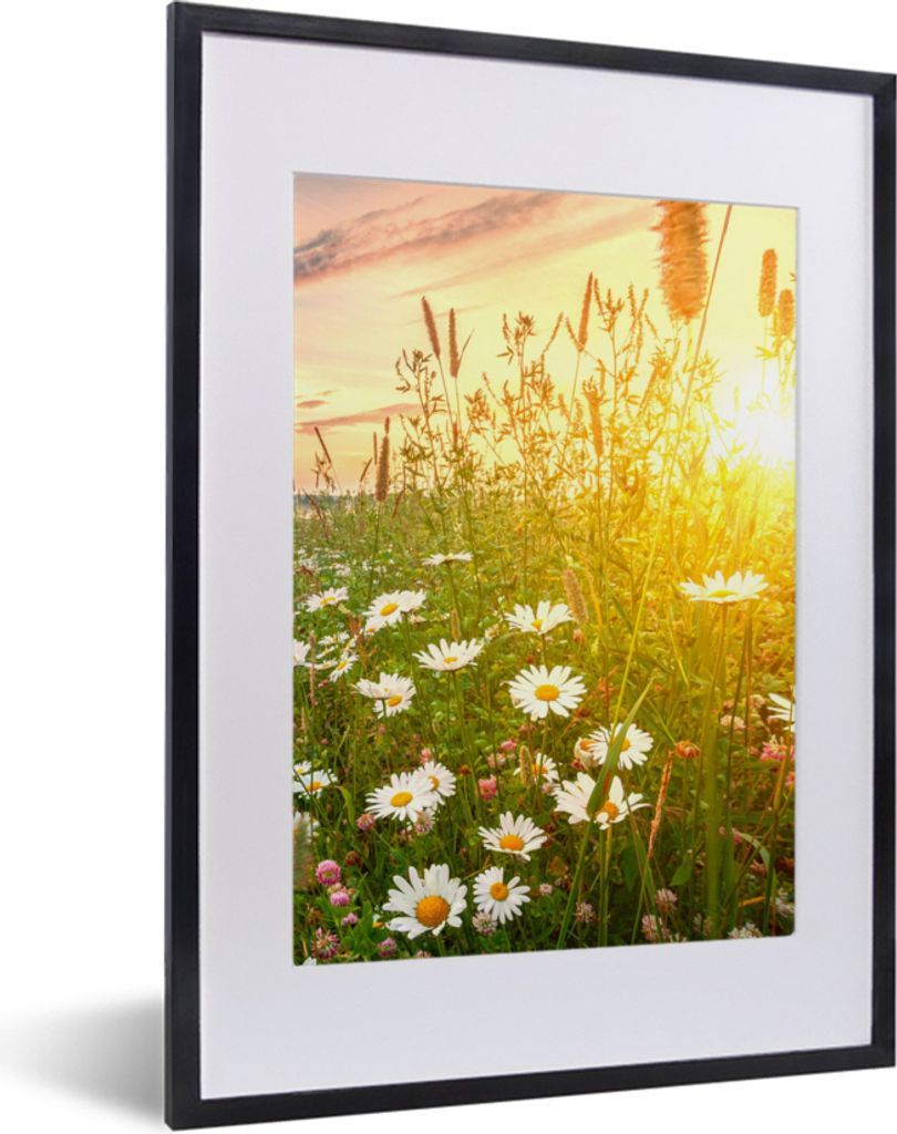 MuchoWow Gerahmtes Poster Blumen - Gänseblümchen - Natur - Sonne - Horizont 30x40 cm - Poster mit Schwarzem Bilderrahmen Wandposter Rahmen Foto...