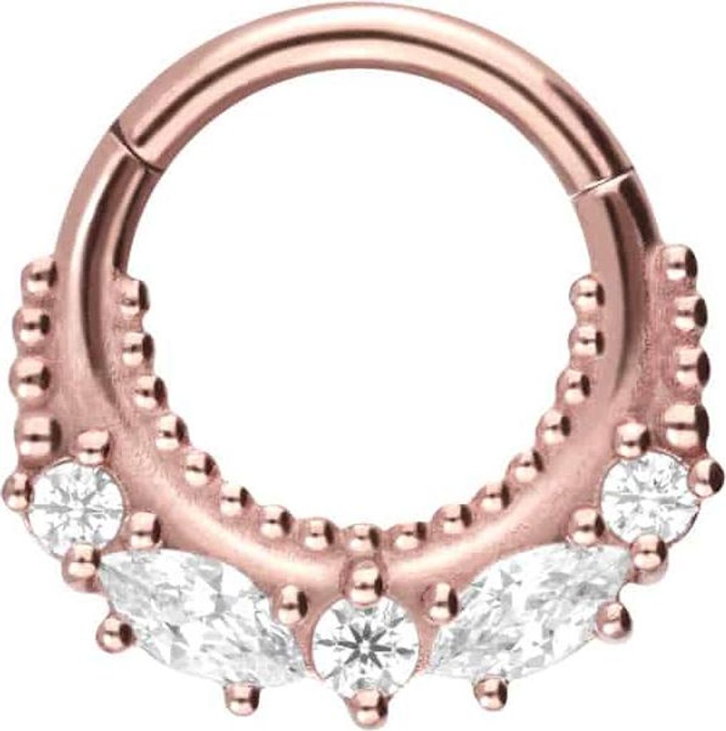 Ohrpiercing, Nasenpiercing, Septum Piercing Chirurgenstahl Segmentring Clicker 5 KRISTALLE + KUGELN