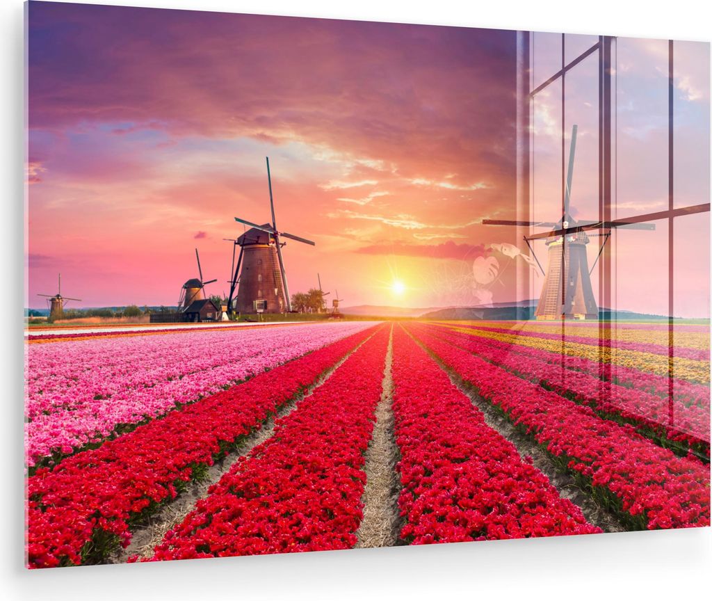 MuchoWow Glasbilder - Bilder auf Wandbild - Foto auf Glas Blumen - Tulpen - Blumenfeld - Mühlen - Holland 30x20 cm Wanddekoration aus Glas - Acryl...