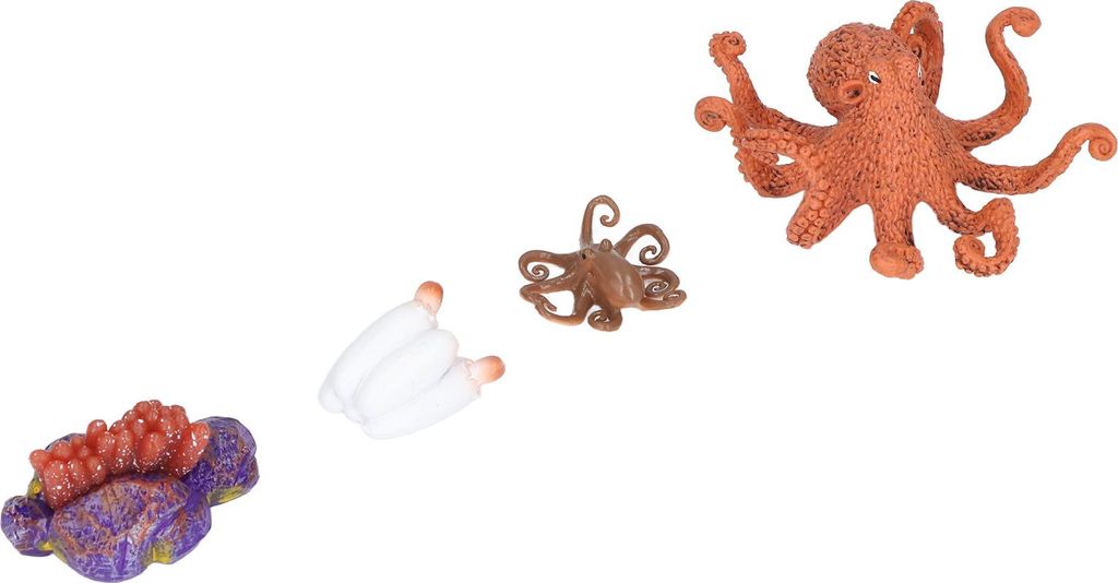 Wachstumszyklusmodell, Vinylmaterial, sicher, geruchlos, lebendig, echtes Oktopus-Tierleben für über 3 Jahre