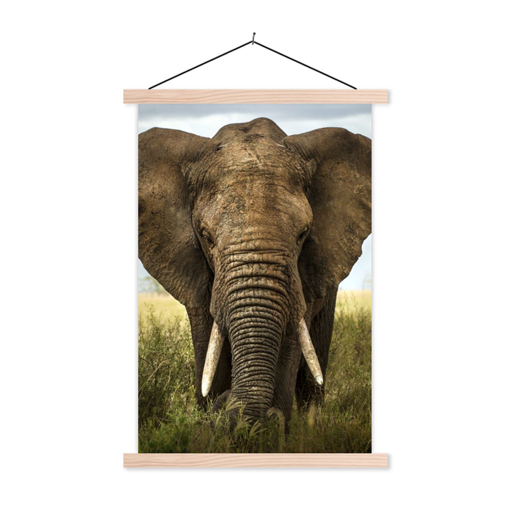 MuchoWow Textilposter Elefant - Natur - Gras - Tiere - Landschaft 40x60 cm mit holzfarbenen Rahmen - Poster