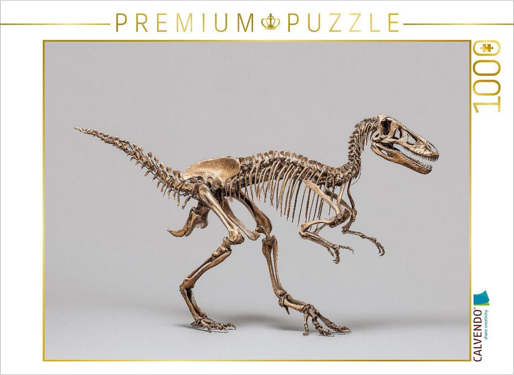 CALVENDO Puzzle Dinosaurier Velociraptor-Skelett - kleiner Raubsaurier mit langen Krallen | 1000 Teile Lege-Größe 64x48cm Foto-Puzzle für glück...