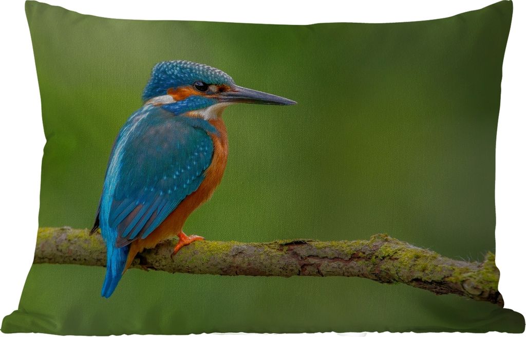 MuchoWow Outdoor Kissen - Eisvogel - Zweig - Moos - Vogel - Grün - 50x30 cm - Wetterfest - Lounge Kissen - Sofa kissen - Wohnzimmer Dekoration