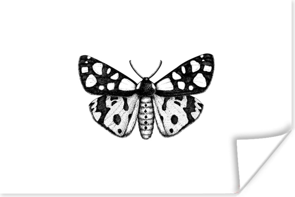 MuchoWow Poster Schmetterling - Vintage - Schwarz und weiß 30x20 cm - Plakate - Print