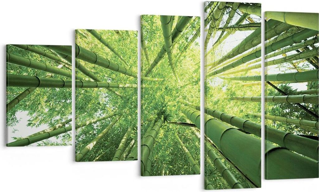 Bild auf Leinwand - Leinwandbild - 5 Teile - Bambus Dschungel Grün - 100x60cm - Wand Bild - Wanddeko - Wandbilder - Leinwanddruck - Bilder - Wandd...