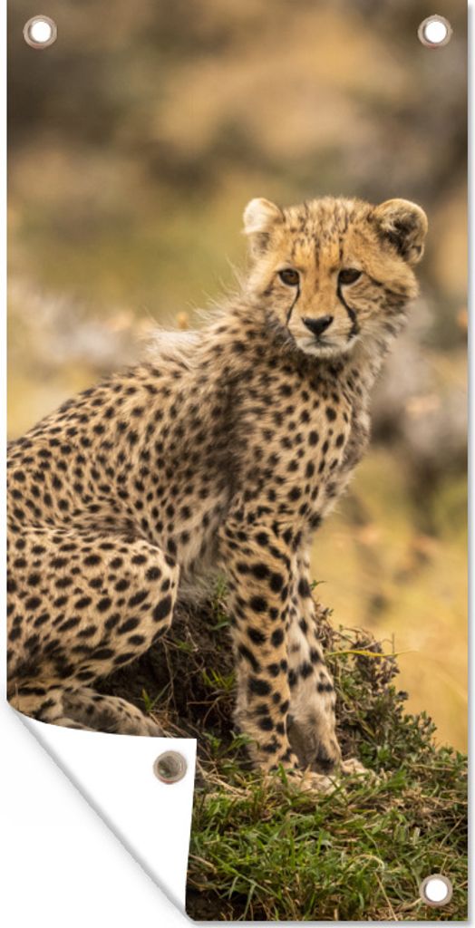 MuchoWow 40x80 cm Outdoor-Poster Gartendeko Sichtschutz Garten Poster für den Garten Leopard - Wald - Tier