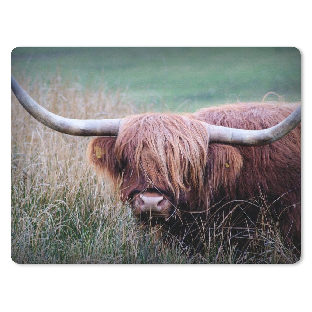 MuchoWow Mauspad Mousepad Schottischer Highlander - Hörner - Gras 23x19 cm - Mousepads - Maus Mat - Pad - Mausunterlage - Schreibtischunterlage ...