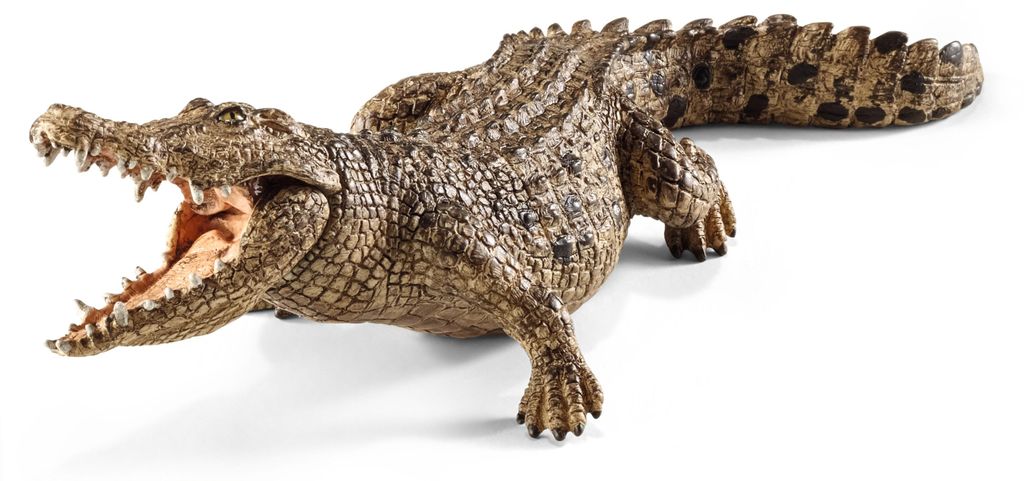 schleich WILD LIFE Krokodil, 3 Jahr(e), Safari, Wild animals / adventure toys, Mehrfarbig, Kunststoff, 1 Stück(e)