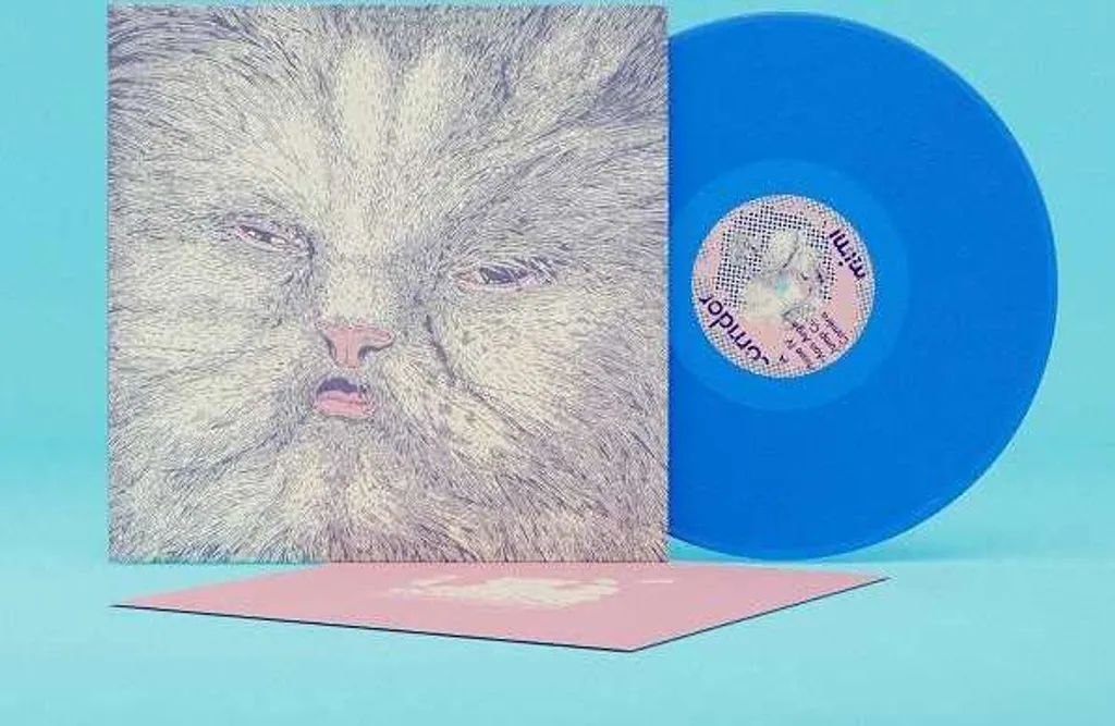 Album Mimi Corridor Vinyle Bleu : Musique Ambiance et Déco Collection