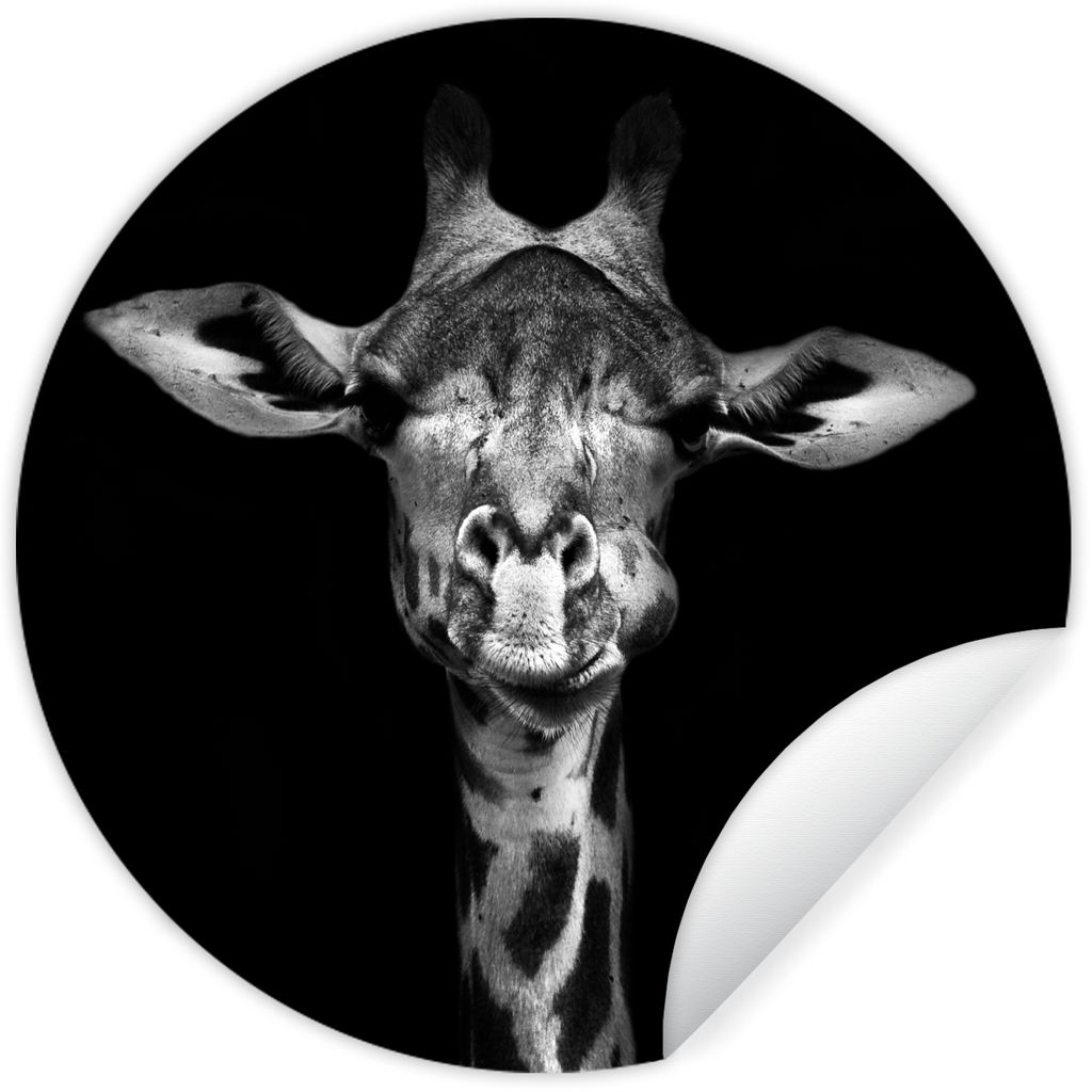 MuchoWow Runde Wandtattoo - Wandsticker Tapete Aufkleber Giraffe - Porträt - Tiere - Schwarz - Weiß Ø 80 cm Selbstklebend und Repositionierbar...