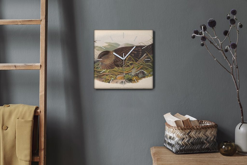 Coloray Hodiny Unikátní 30x30 cm Tiché hodiny Pro obývací pokoj a kuchyň Nástěnné hodiny Plátno Bílé ručičky hodin - Ptáci zvířata