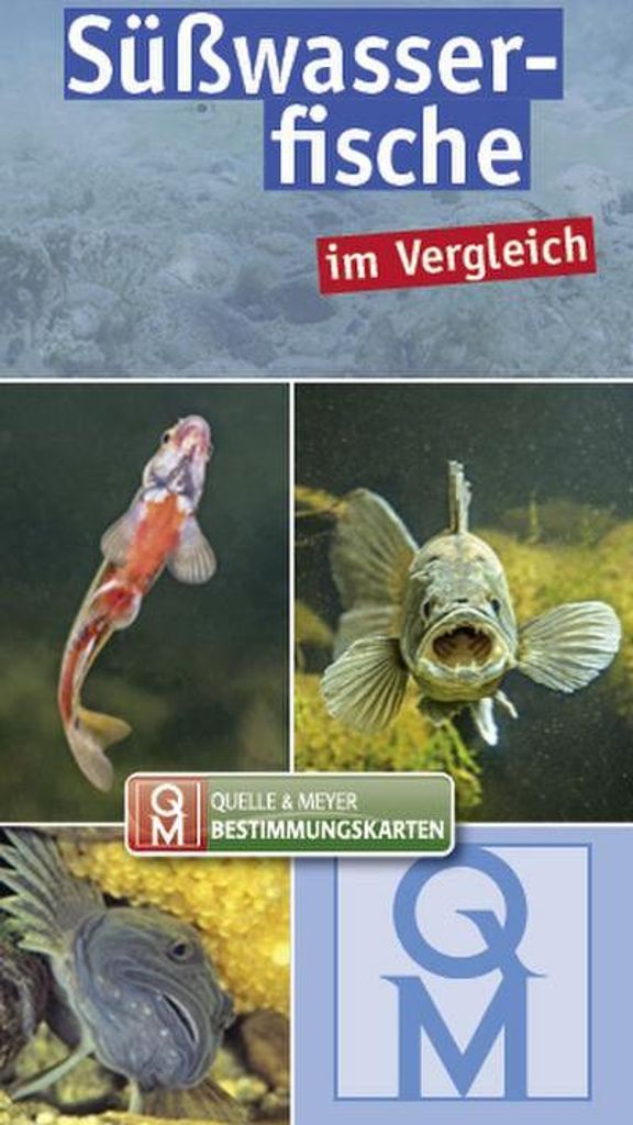 Süßwasserfische