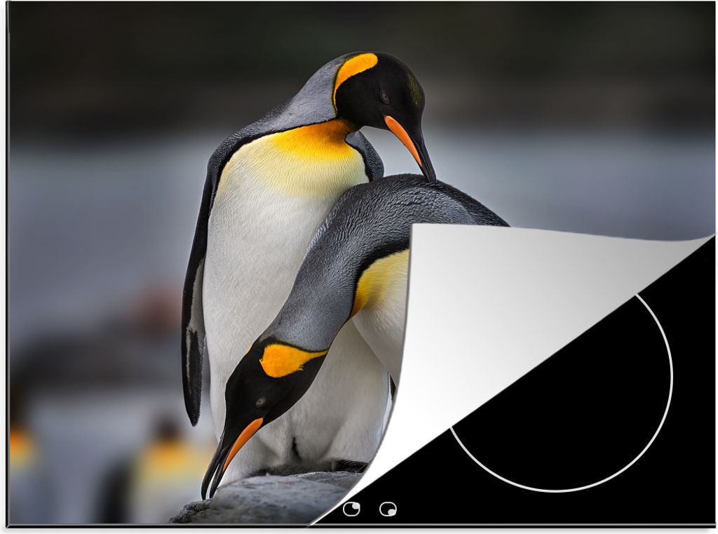KitchenYeah Herdabdeckplatte Geliebte Pinguine , 58x51cm, Küche Deko, Glaskeramikkochfeld Herdabdeckung, Abdeckplatte fùr Kochfeld
