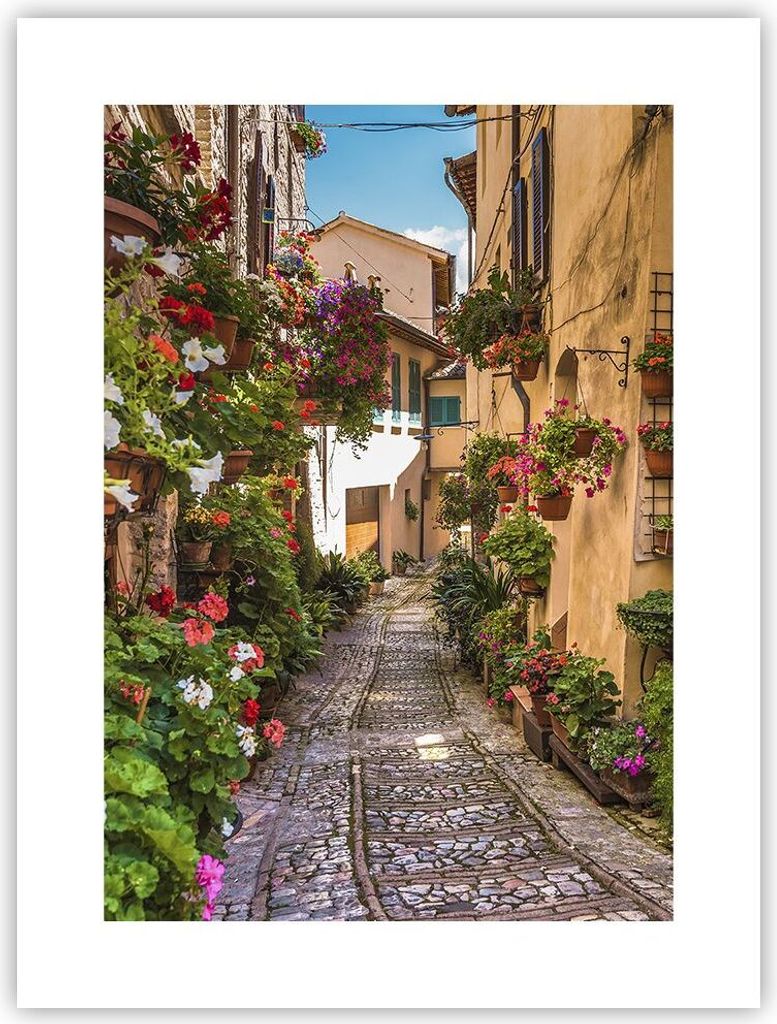 Poster - Poster ohne Rahmen - Path Blumen Haus Hof - 30x40 cm - Wand Bild - Wanddeko - Wandbilder - Kunstposter - Wandposter - Bilder - Kunstdruck ...