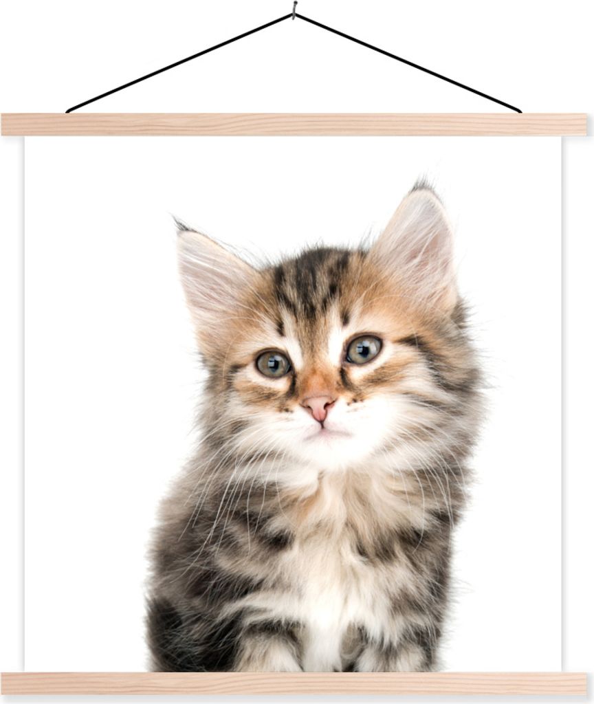 MuchoWow Textilposter Kätzchen - Weiß - Nase - Mädchen - Kinder - Jungen - Kinder 120x120 cm mit holzfarbenen Rahmen - Textil-Poster