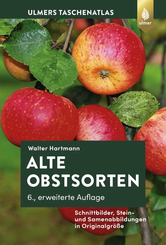 Verger de Variétés Anciennes - Arbres Fruitiers Rustiques pour Jardin