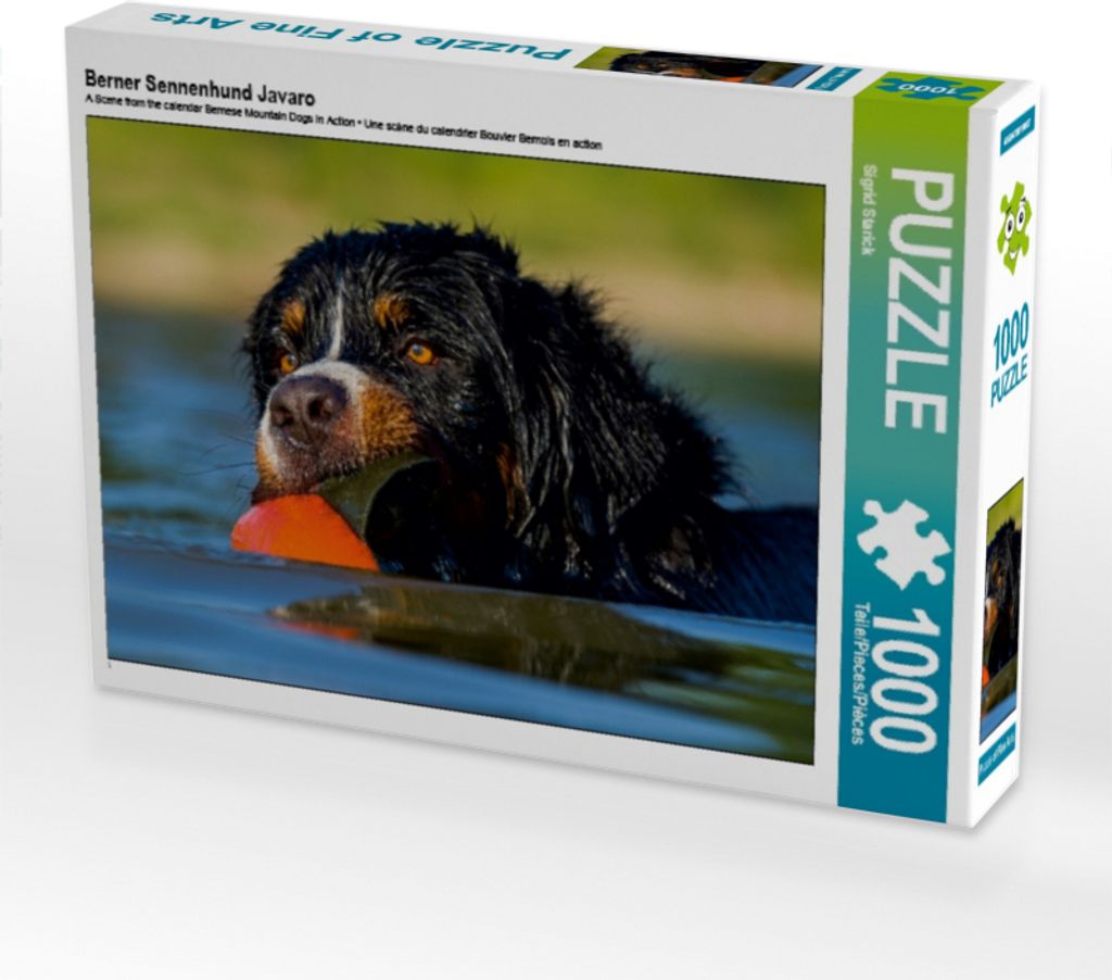 CALVENDO Puzzle Berner Sennenhund Javaro | 1000 Teile Lege-Größe 64x48cm Foto-Puzzle für glückliche Stunden
