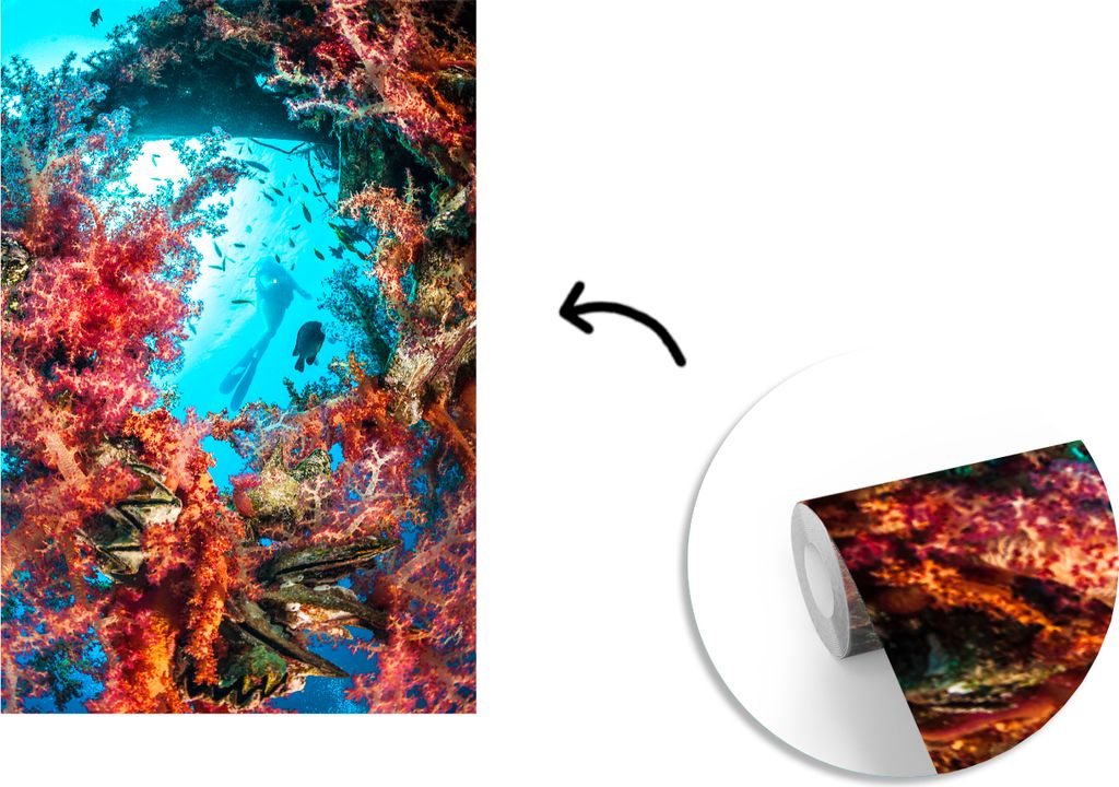MuchoWow Fototapete für Wohnzimmer oder Schlafzimmer Wandtapete Vinyl Motivtapete Ein Taucher zwischen den Weichkorallen im klaren Meer - 190x28...