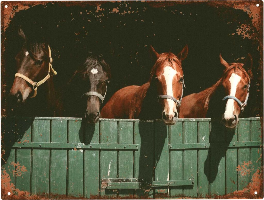 Moritz Deko Blechschild Pferde Pferdestall Metallschild Retro Vintage-Design zur Dekoration Wanddekoration