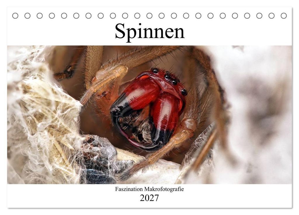 Faszination Makrofotografie: Spinnen (Tischkalender 2027 DIN A5 quer), CALVENDO Monatskalender